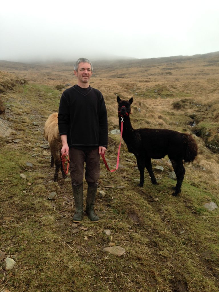 BB - The Naked Sheep - Ireland