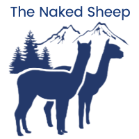 The Naked Sheep – Ireland Logo